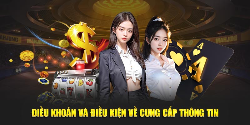 Điều khoản và điều kiện về nghĩa vụ cung cấp thông tin